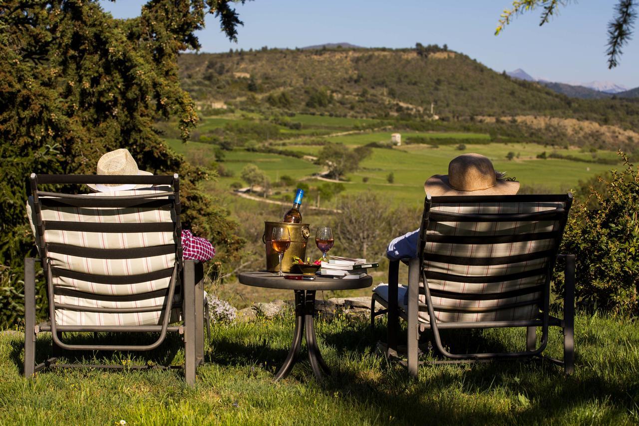 Châteauneuf-Val-Saint-Donat Le Jas De Peguier Bed & Breakfast エクステリア 写真